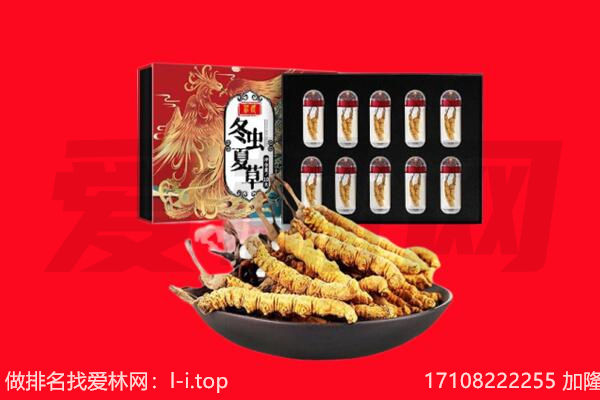 晋城泽州县回收虫草.jpg